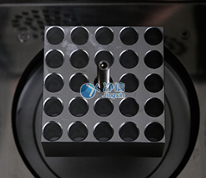 1637216277682823.jpg 2.jpg