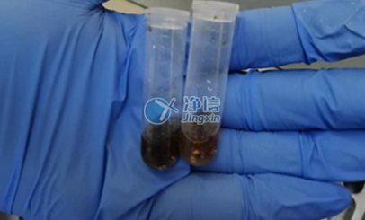 上海凈信高通量研磨儀能否助力蟲媒病毒研究實驗？