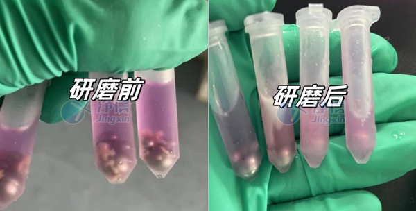 4-30- 實(shí)驗(yàn)案例底圖.jpg