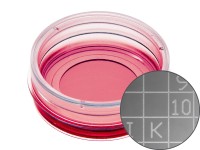 易必迪ibidi 細胞定位格子培養(yǎng)皿μ-Dish 35 mm high， glass bottom Grid-500