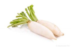 蘿卜提取DNA采用全自動樣品快速研磨儀能得到什么結果？